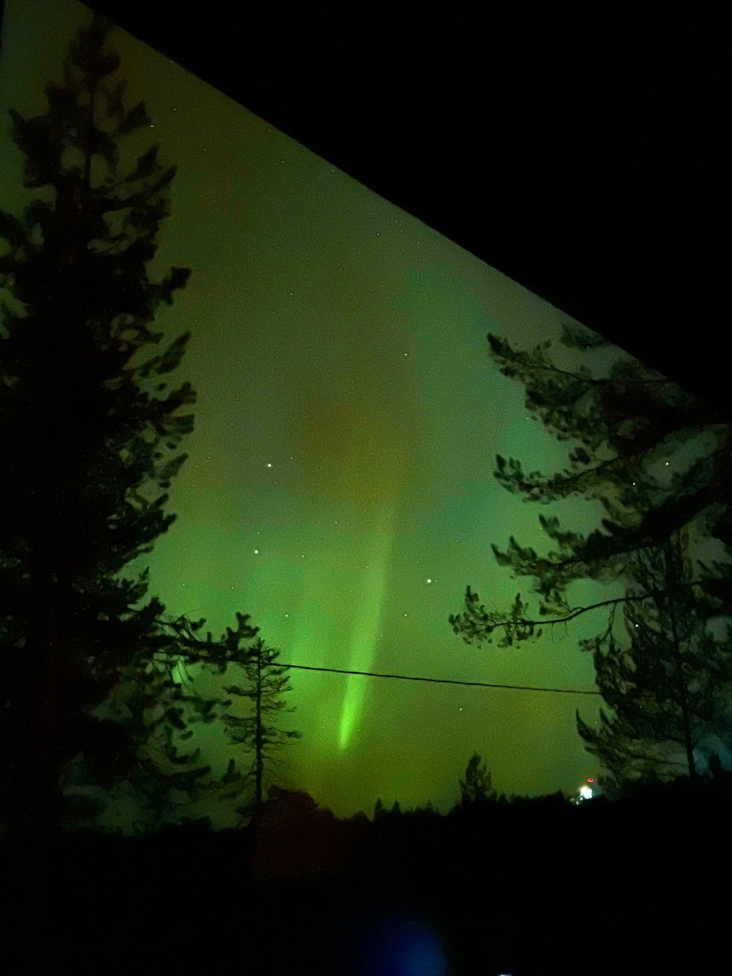 Green northern lights above the pines, seen from the terrace
